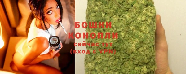 гашик Михайловск