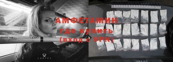 твердый Михайлов