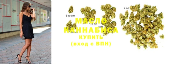 твердый Михайлов