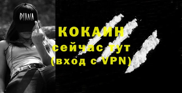 гашик Михайловск