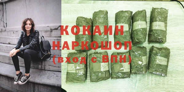 твердый Михайлов