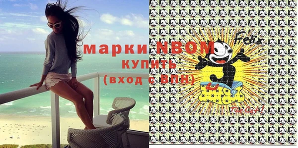 твердый Михайлов