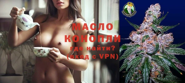 твердый Михайлов