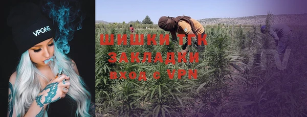 гашик Михайловск