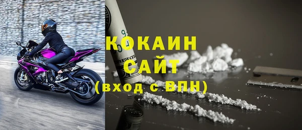 твердый Михайлов
