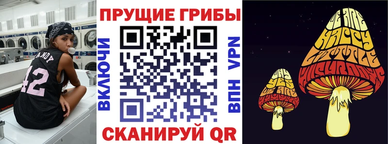 Псилоцибиновые грибы Cubensis  Орлов 